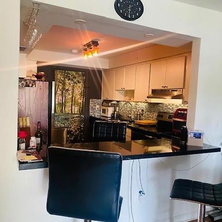 Beautiful Private One Bedroom One Bath North Miami Eksteriør billede